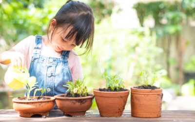5 Garden Activities for Preschoolers