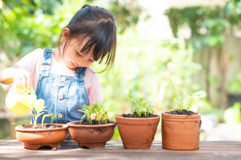 5 Garden Activities for Preschoolers | Light House School